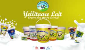 Yaourt en seau saveur vanille - 500g - Yellitaare